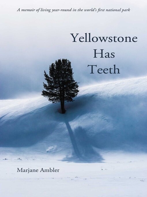 Cover image for Yellowstone Has Teeth